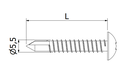 Self-tapping Fixing Screw - AISI 304